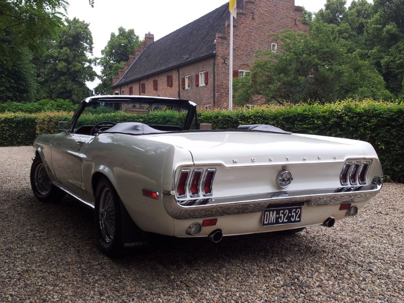Mustang-achterzijde